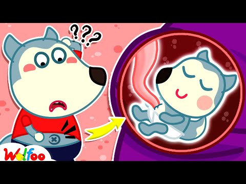 Wolfoo, Why Do We Have Belly Buttons? - Educational Videos for Kids | Funny Kids Cartoon