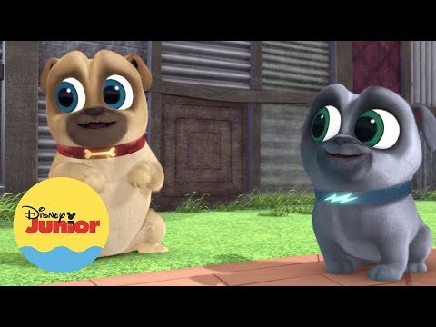 Las traes, cachorro | A jugar con Puppy Dog Pals