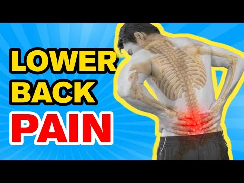 How To Fix Lower Back Pain Instantly