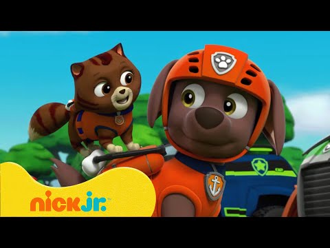 دوريات المخلاب | البحث عن أشباح في الغابة 👻 | Nick Jr. Arabia