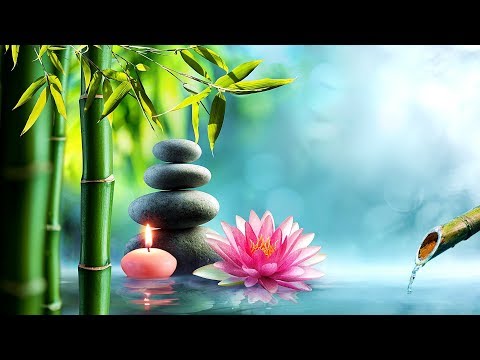 Relaxing Piano Music 🎵 Calming Sleep Music, Water Sounds, Healing Music, Meditation Music (Lotus)