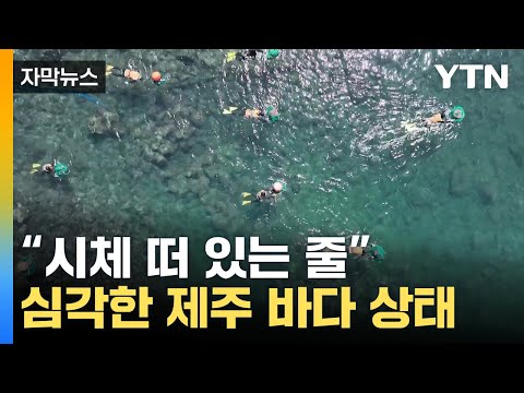 [자막뉴스] 위협적으로 바다 뒤덮어&hellip;제주도 실제 상황 / YTN