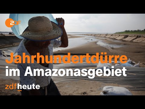 Regenwald ohne Regen: Angst um das Amazonasgebiet | auslandsjournal
