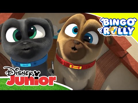 Bingo y Rolly: El mundo de los perros | Disney Junior Oficial