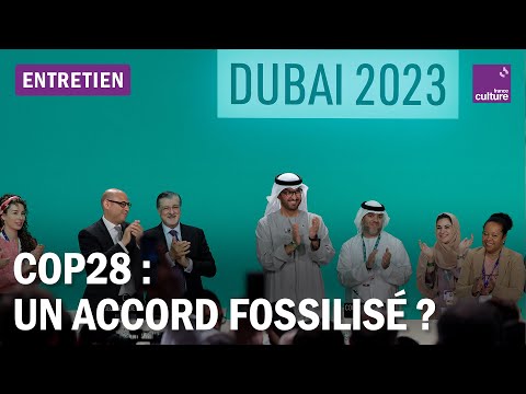 COP28 : vers l'impossibilit&eacute; d'une sortie des &eacute;nergies fossiles