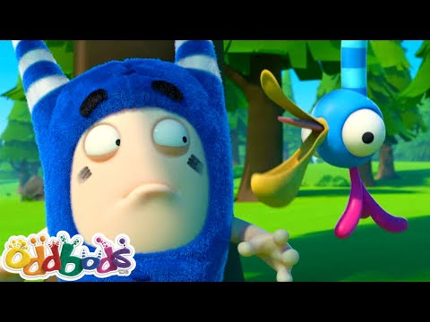 No Escape From The Feisty Big Bird | New Funny Cartoon | ODDBODS