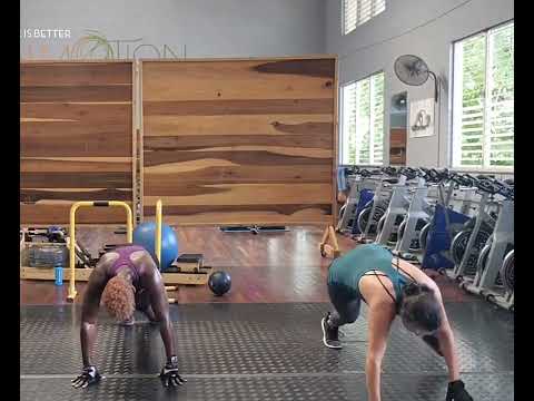 Spider Lunges 