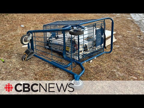 Should retailers be fined for stray shopping carts?