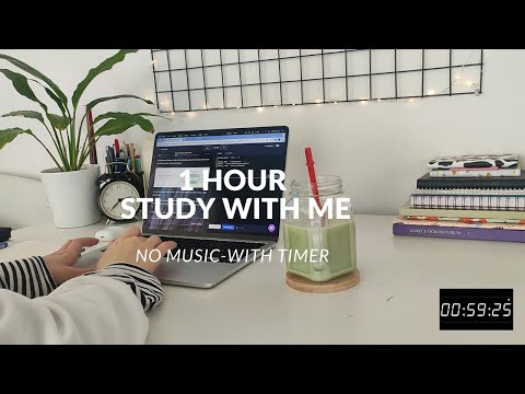 1 hour study/code with me | background noise, no music, realtime , with timer