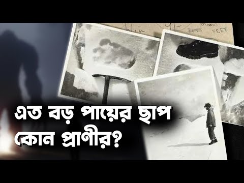 ইয়েতি কি সত্যিই আছে, নাকি পুরোটাই গালগপ্পো ? Mystery of Yeti&rsquo;s identity solved