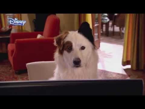 Dog With A Blog - The Kids Find Out Stan Blogs - Stan's Secret Revealed? - Disney Channel UK HD