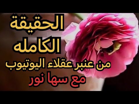 حمل شروق وخناقةجوزهاف المطعم/خطوبةلومي/أخومغتربة؛ثروةهناء لاتقدر/فويسات رضاوعبير من أم بدر/قضيةأ.رضا