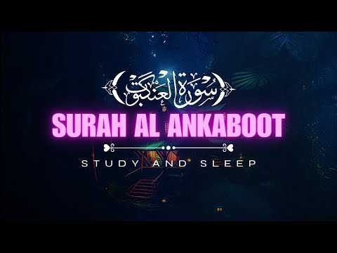 Tranq Vibes | Quran and Rain For Study and Rain Sessions | Quran Relaxing 