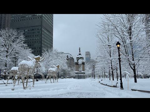 🔴 Live CANADA  🇨🇦 BIG Snowfall in Montreal - First Big Snow - 2023, December 4