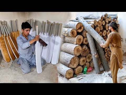 Amazing Process of Making Quality Cricket Bat | Factory Mass Production Process