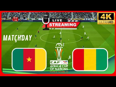 ⚽ Cameroun vs Guin&eacute;e 