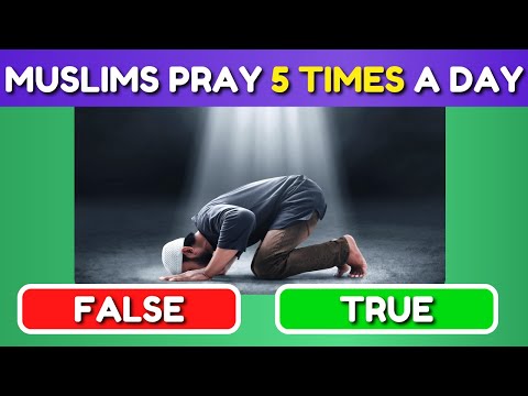 True or False Islam Edition ✅ ? (no music) Islam Quiz