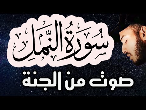 سورةالنمل 🐜 ( كاملة ) تلاوة🌹هادئة😴للنوم راحة للقلب❤️ والعقل صوت من السماء وراحة نفسية بلال دربالي 2