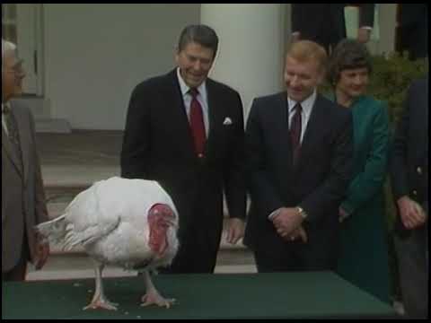 President Reagan is presented with Thanksgiving Turkey on November 22, 1982