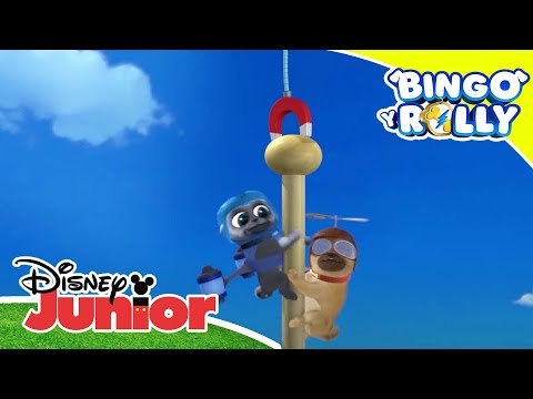 Bingo y Rolly en el Empire State | Disney Junior Oficial