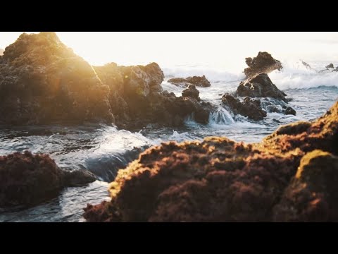 Nature travel relaxing video 