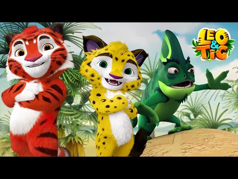 LEO and TIG 🦁 🐯 The Best Runner 🐢 NEW EPISODE 💚 Moolt Kids Toons Happy Bear