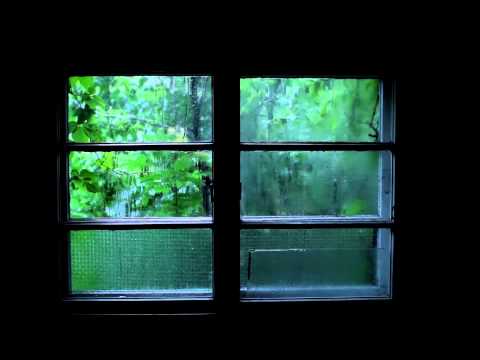 Rain Sound and Thunder - 2 Hours Sleep Meditation Sound