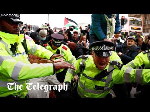 Pro-Palestine protesters clash with police during London march