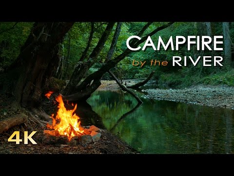 4K Campfire by the River - Relaxing Fireplace &amp; Nature Sounds - Robin Birdsong  - UHD Video - 2160p