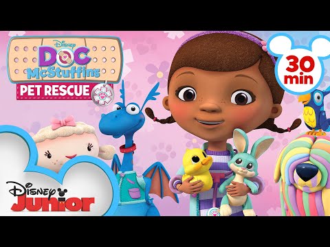 Pet Rescue | 30 Minute Compilation | Doc McStuffins | 