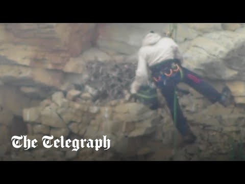 Man abseils down cliff to steal falcon eggs