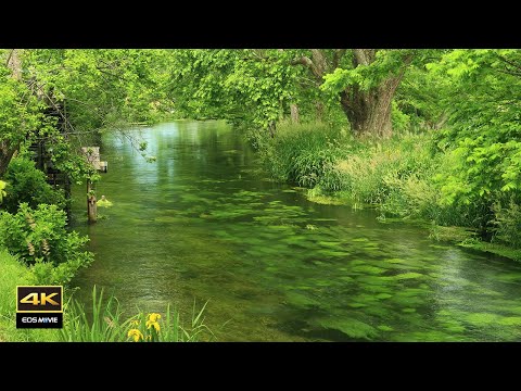 4K [Natural environmental sounds] Beautiful Azumino water scenery / The best place to relax