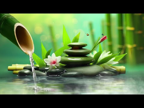 Relaxing Music - Music To Calm The Mind, Stop Overthinking, Music To Sleep, Nature Sounds