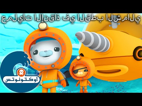 أوكتونوتس | 🐻&zwj;❄️ عمليات الإنقاذ في القطب الشمالي ⛑️ | حلقات مجمعة