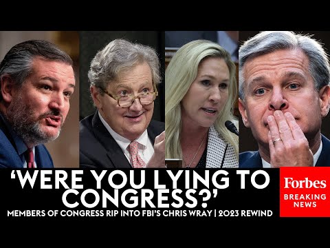 FBI Director Christopher Wray Is Mercilessly Grilled In Congress | 2023 Rewind