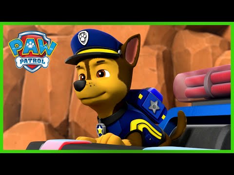 Mighty Pups Rescues with Chase 🐯+ More Cartoons for Kids | PAW Patrol