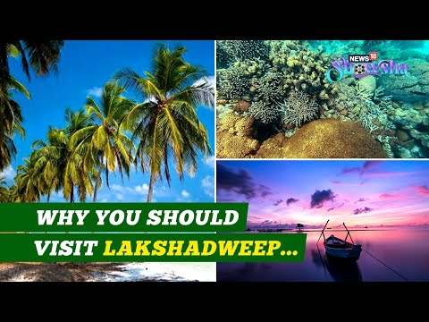 Lakshadweep Tourism To Increase As PM Modi Endorses It? | How To Plan A Trip To The Indian Island