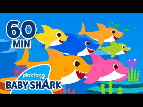 Baby Shark Doo Doo Doo 1 hour | +Compilation | Songs for Kids | Baby Shark Official