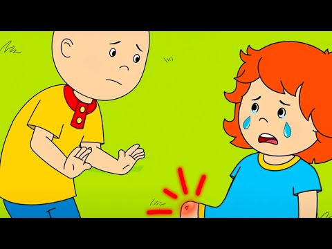 Caillou Hurts Rosie | Caillou Cartoon