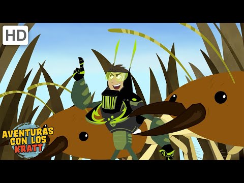 Criaturas muy peque&amp;ntilde;as | Termitas, gusanos + m&amp;aacute;s! [episodios completos] Aventuras con los Kratt