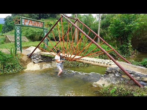 TIMELAPSE: 30 DAYS START TO FINISH Alone Build A Bridge Across A Stream To Avoid Flooding