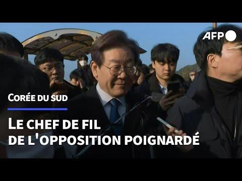 Cor&eacute;e du Sud: le chef de file de l'opposition poignard&eacute; | AFP