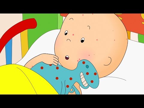 Contagious Caillou  | Caillou Cartoon