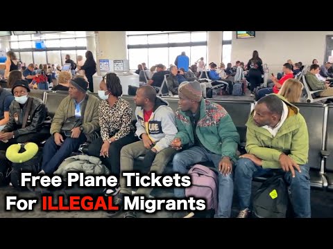 Illegal Migrants Moved Through Airports