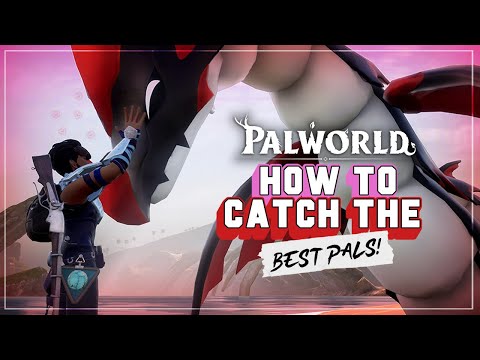 Palworld: How To Get The Best Pals