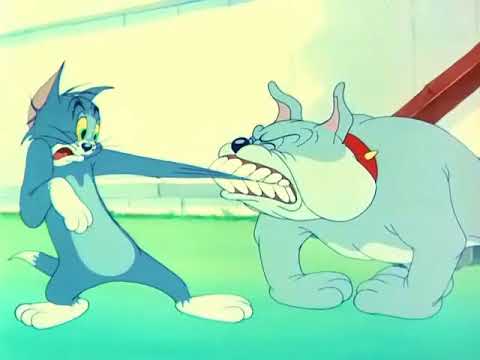 Tom and Jerry - Love That Pup