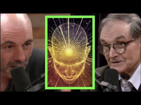 Joe Rogan - Mathematician on Trying to Measure Consciousness