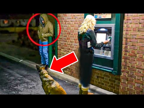 Man Attacks Woman At ATM &ndash; Unaware That Her Dog Is A Cop