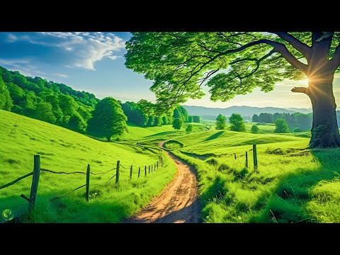 Beautiful Relaxing Music - Stop Overthinking, Stress Relief Music, Sleep Music, Calming Music 