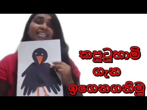 1 6 පාඩම කපුටා ගැන ඉගෙනගනිමු